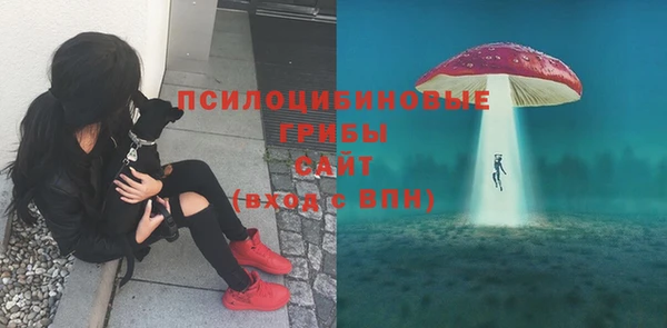 дмт Богданович