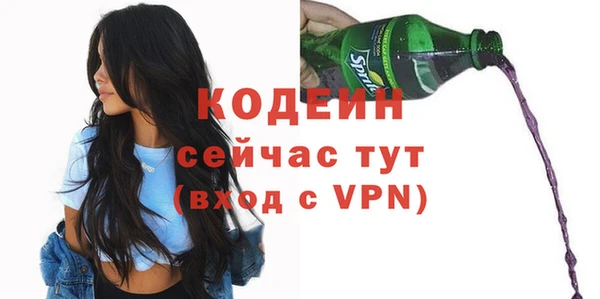 дмт Богданович