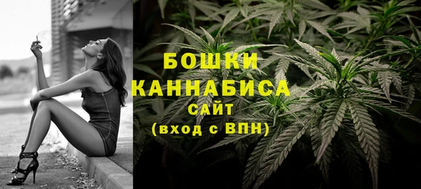 стаф Беломорск
