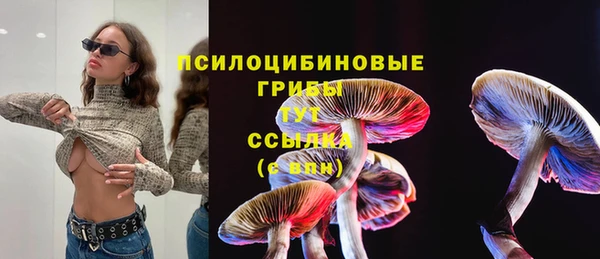 кристаллы Белокуриха